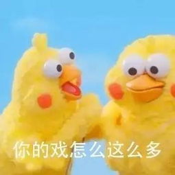  搜狐动漫搜狐网