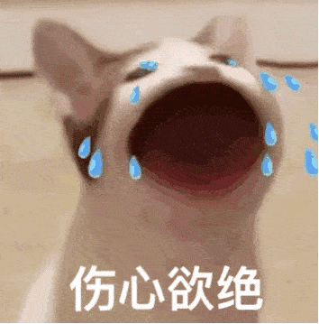  粗奶丸我们去接你