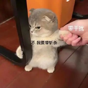 我中国猫可不是好欺负的第289期喵表情 我中国猫可不是好欺负的第289期喵表情