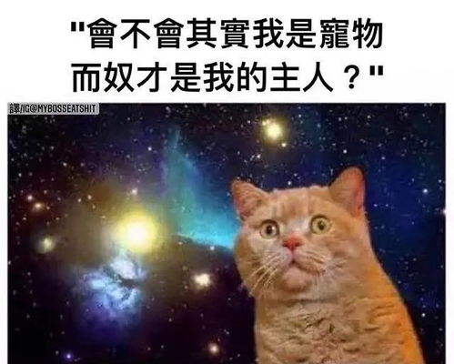  每日一冷no.2911