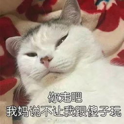  天津相声广播你还真当人家是要饭的呢