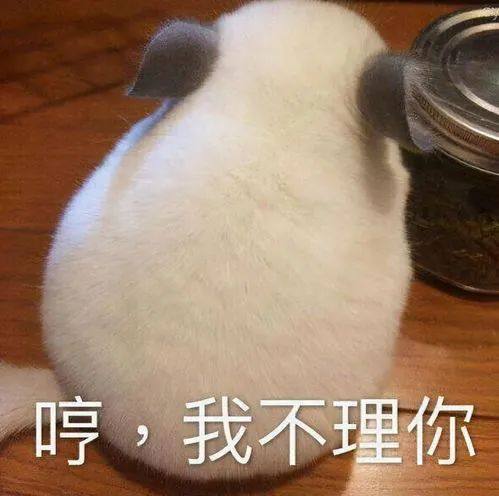 别气了的表情包别生气了