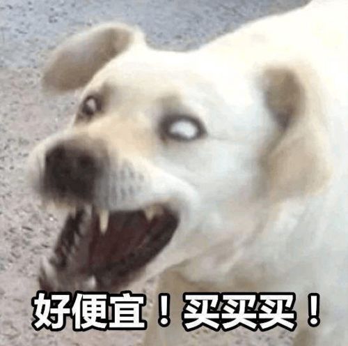  从双十一看消费心理