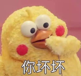  他们真的不是鸡表情界网红鹦鹉兄弟蠢萌霸屏附上周周调获奖名单