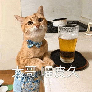  热门沙雕表情包