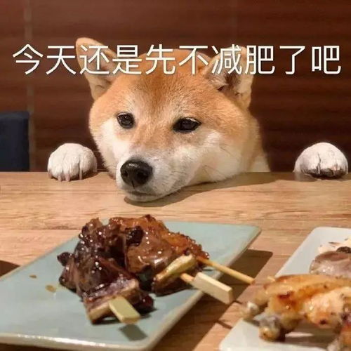 胖瘦表情包沙雕