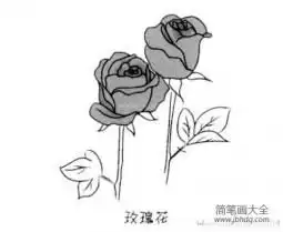  玫瑰花简笔画步骤图解