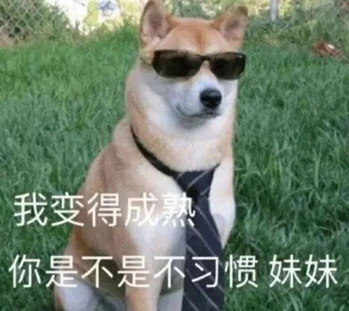 幽默笑话主人不挂科为大,我们的爱情算什么 幽默笑话主人不挂科为大,我们的爱情算什么