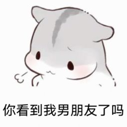  你看到我男朋友了吗表情包
