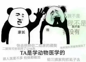 整天就知道哈哈哈表情包