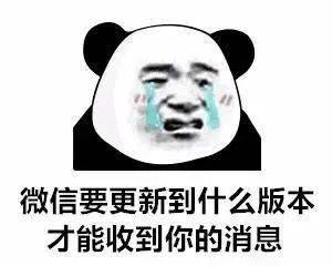 抖音最火表情包熊猫傻子