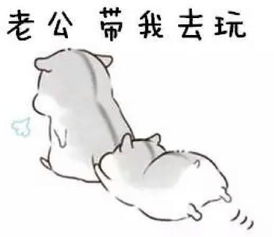 仓鼠表情包夸老公表情包合集老公最帅,老公最棒 仓鼠表情包夸老公表情包合集老公最帅,老公最棒