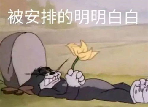  全国370多万人上战场大批人昨晚没睡着包括气氛组
