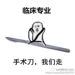  用一个表情包形容你的专业看完感觉当初脑子进了水