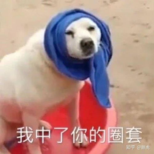  巴普洛夫