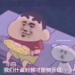  对不起,我选择告别以前的生活,重新开始...