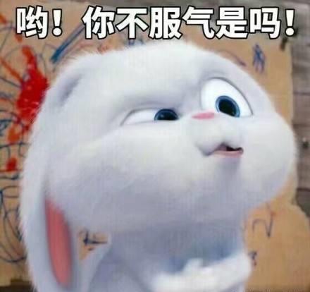  女子养了只猫,出门回来往客厅一瞥,造型是犯了啥错