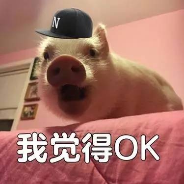  周末无休,今夜无眠,只因我们拥有不谢的青春