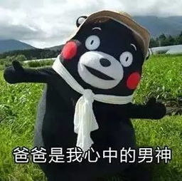  笑到胃疼幼儿园爸爸们的舞蹈,太帅了