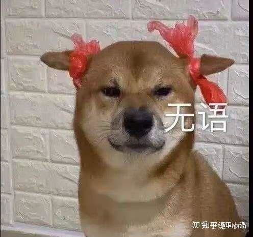  如何评价综艺吐槽大会第五季