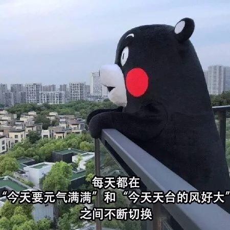  一组搞笑的表情包