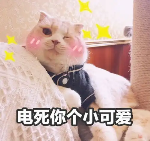 咬死你表情包可爱