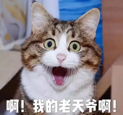 大雨暴雨石家庄今年入汛以来最强降雨来袭 大雨暴雨石家庄今年入汛以来最强降雨来袭