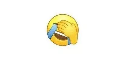 表情包微信微信表情包捂