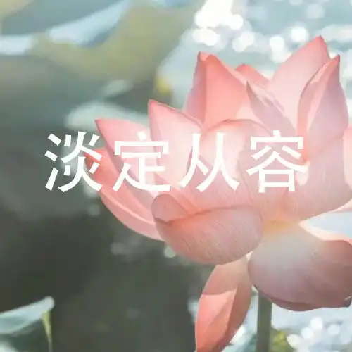 微信头像荷花并配字荷花头像带字佛系静心 微信头像荷花并配字荷花头像带字佛系静心