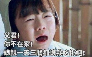  每日一囧3.6所以到底是几生几世几里桃花