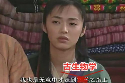 表情包形容你专业图片猫