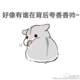  仓鼠太太表情包