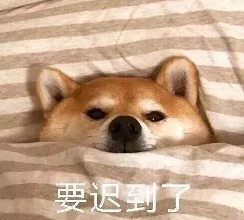 雪雪雪气温暴跌至8c,寒潮再袭信阳大范围雨雪天气来啦 雪雪雪气温暴跌至8c,寒潮再袭信阳大范围雨雪天气来啦