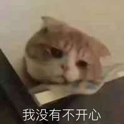  40岁的高圆圆蝉联直男女神top3,她真正戳中直男审美g点的不是脸