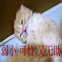  弱小可怜表情包微信头像图片大全
