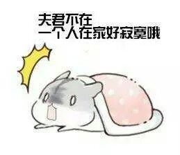  求小仓鼠表情包,最好是对男票专用的oo