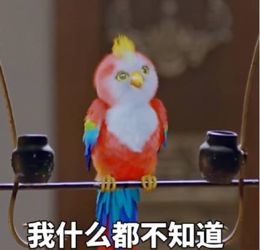  楚乔传表情包qq
