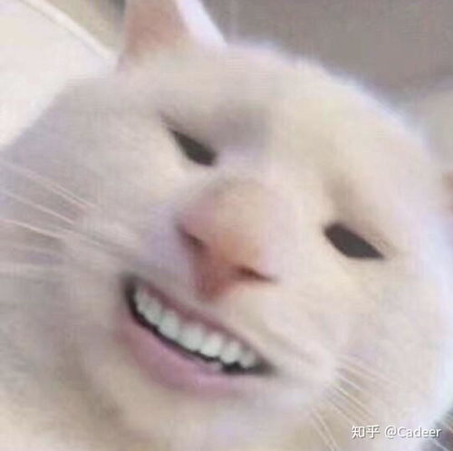  怎样控制食欲