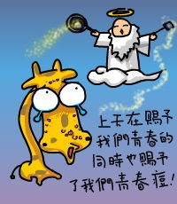  相册是斑马吗