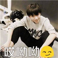  2017各大卫视跨年明星名单,四叶草约吗