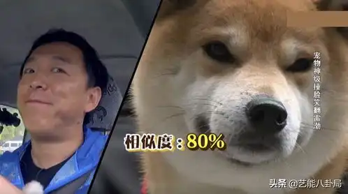 7位撞脸狗子的明星不能说毫无关系,只能说一模一样 7位撞脸狗子的明星不能说毫无关系,只能说一模一样