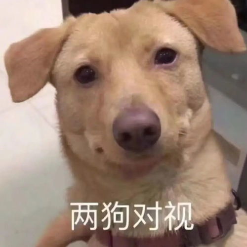  7.4表情包丨你的脸盘子这么大