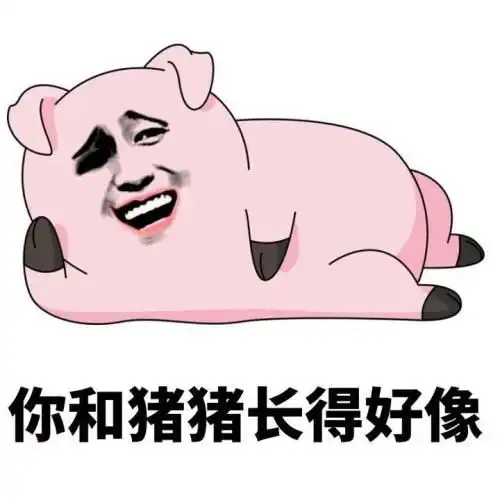 爱5猪猪公寓表情包下载爱5猪猪公寓表情包分享最新下载站 爱5猪猪公寓表情包下载爱5猪猪公寓表情包分享最新下载站