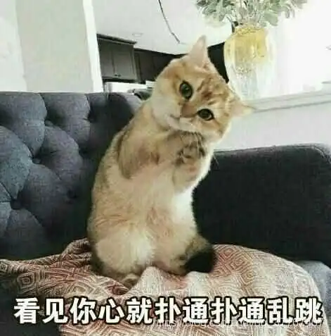 我的大学 我的大学