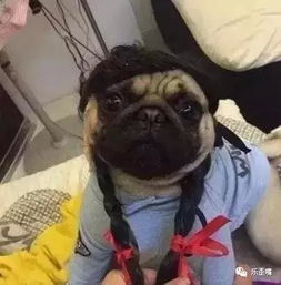  关于香港dna性别鉴定香港化验所介绍谐富科技