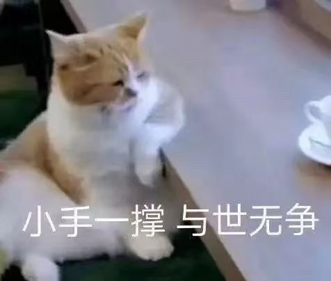  大家觉得不考虑房贷,结婚生子,存够多少钱就可以...