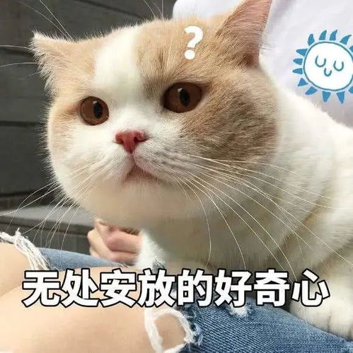  麻了麻了放假七天已安排五六场相亲淮安一姑娘出现了这些症状