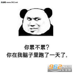  你累不累你在我脑子里跑了一天了图片情话套路表白表情包下载乐游网游戏下载