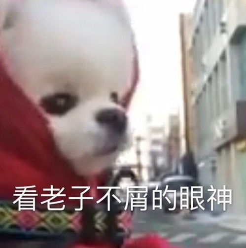  最新热门搞笑表情包图片你看天上那朵云,像不像我借你的100元