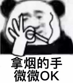  在上海,这次我劝你别买房了